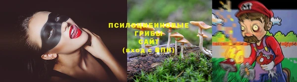 марки nbome Бородино