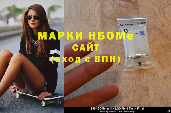 ГАЛЛЮЦИНОГЕННЫЕ ГРИБЫ Чегем
