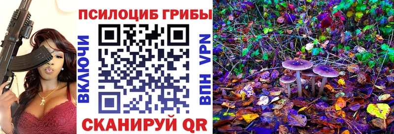 Псилоцибиновые грибы мицелий Карталы